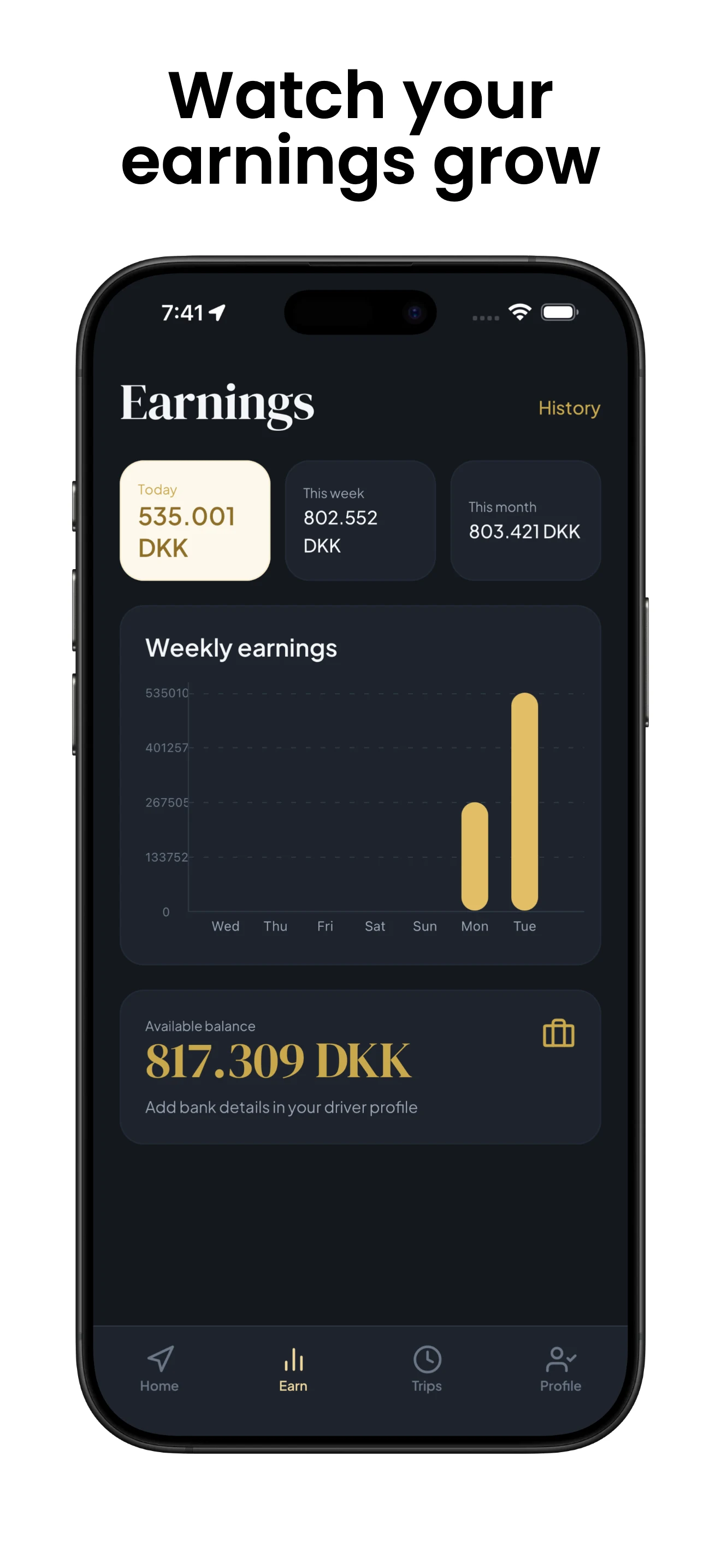 DriverHub earnings dashboard for drivers
